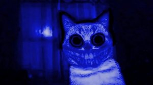 PLXYAMISHIKII-Нарисуй кружочек спаси меня от пчёл( slowed )