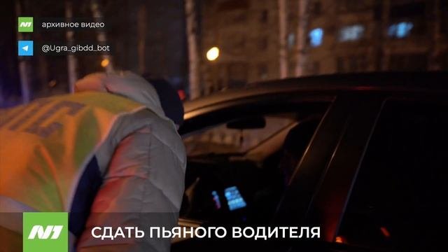 СДАТЬ ПЬЯНОГО ВОДИТЕЛЯ