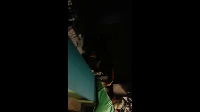Из похода в картинг-клуб. Медведь-огонь, огонек!