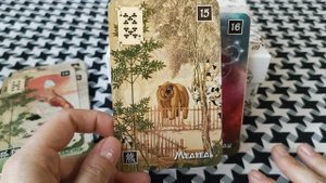 Китайский Оракул Ленорман. Обзор колоды.