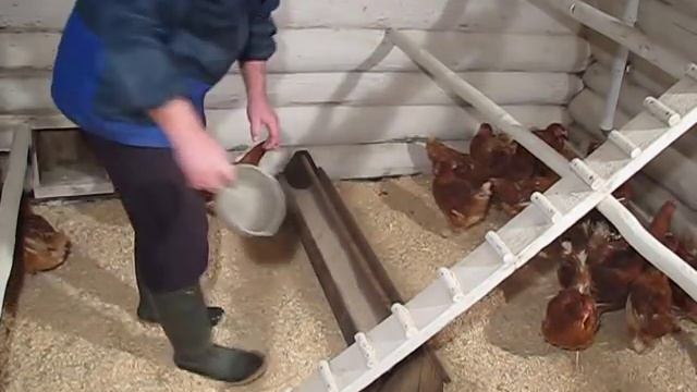 ГНЕЗДА ДЛЯ КУР НЕСУШЕК - своими руками и очень дешево! Это должен знать каждый птицевод
