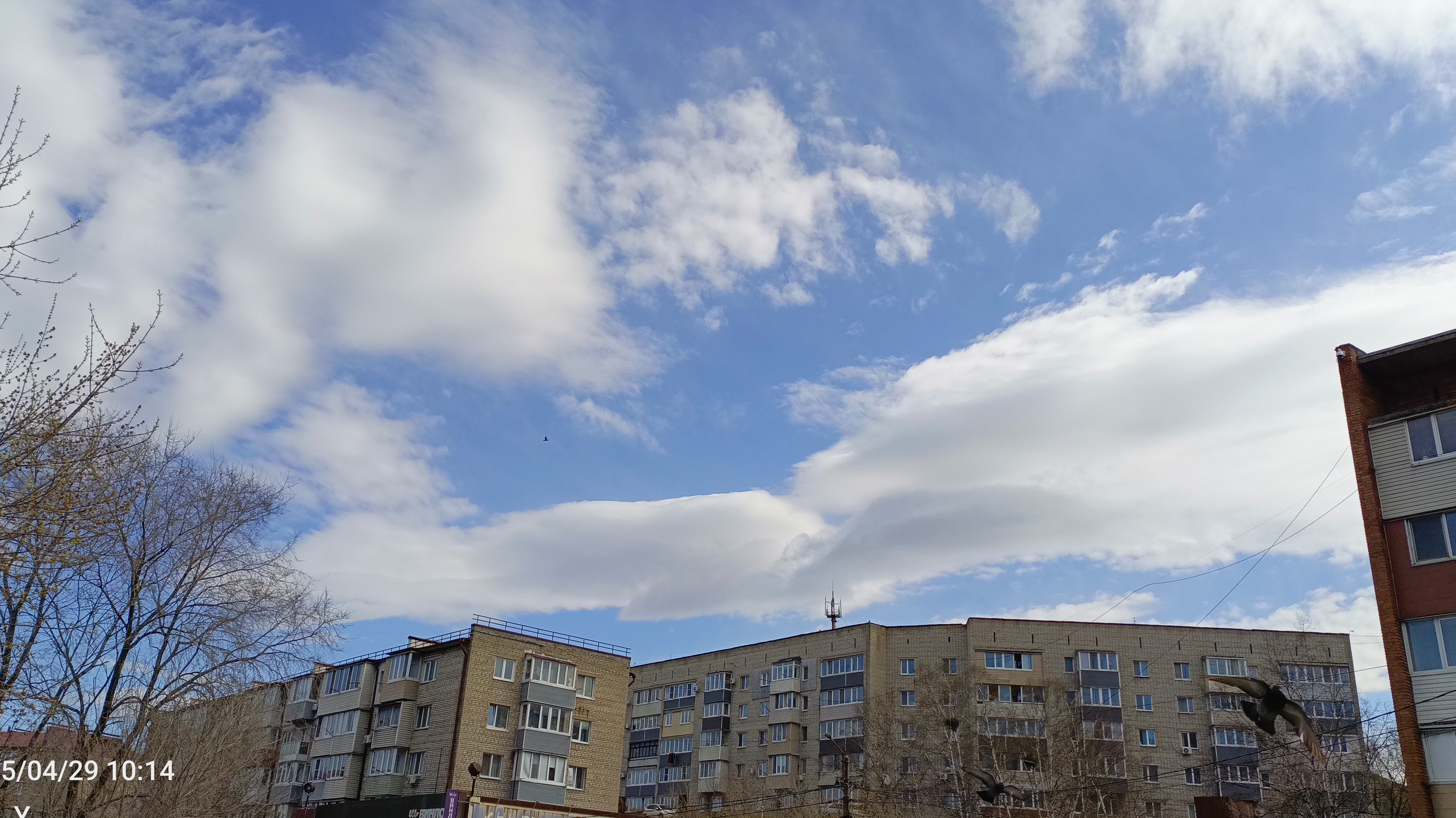 Красивые сегодня облака. Находка, 29.04.25