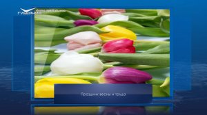 День труда. Календарь Губернии от 1 мая