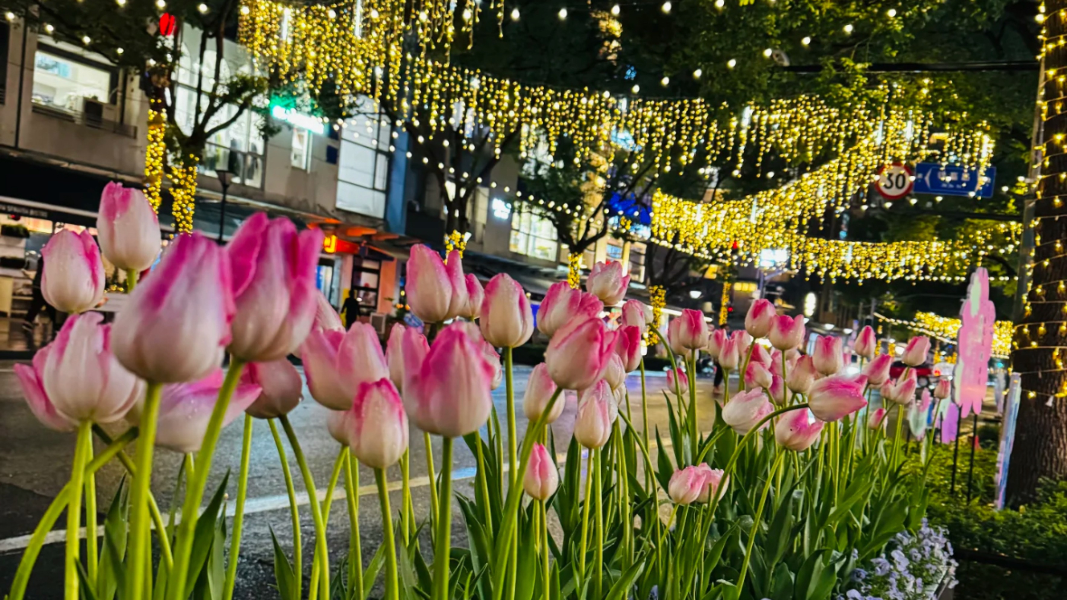 УВЛЕКАТЕЛЬНЫЙ КИТАЙ ЖДЕТ ТЕБЯ СМОТРЕТЬ ВСЕМ!!! #путешествия #китай #азия #интересное