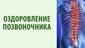 Полезное утреннее упражнение для позвоночника.