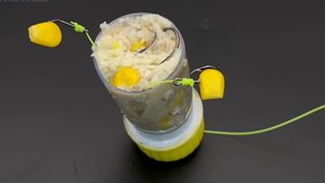 Создайте свою собственную кормушку для привлечения пресноводной рыбы! 🐠🐋🐟