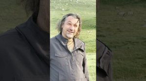 Лошадь Пржевальского