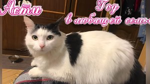 Асти. Год в любящей семье.
