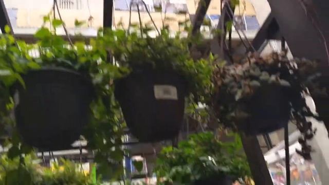 Товары в США. смотреть онлайн