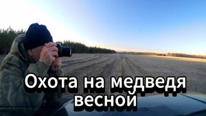 Охота на медведя весной