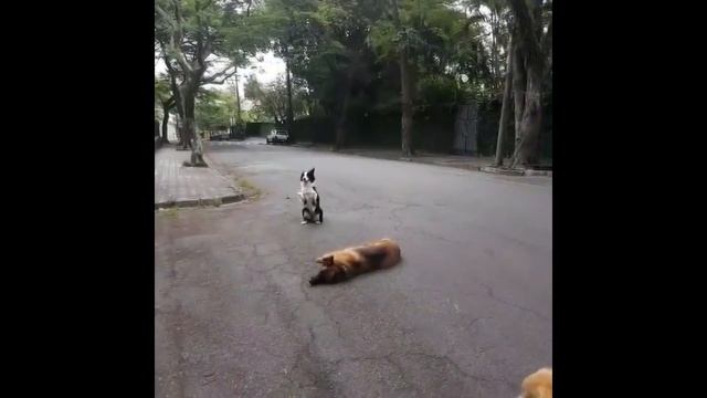 CUBE лучшее  BEST CUBE смешные приколы 41 Май 2017