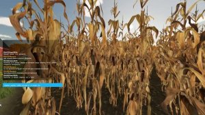 Как играть  по сети в игре фс 22 ( без голоса)