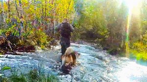 Рыбалка в Карелии. Две ночи в осенней тайге. Окуни и щуки лесного озера.