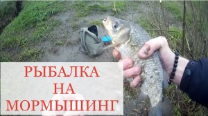 Мормышинг на малой реке. Рыбалка в непогоду