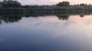 Рыбалка, Медведевская, двое суток