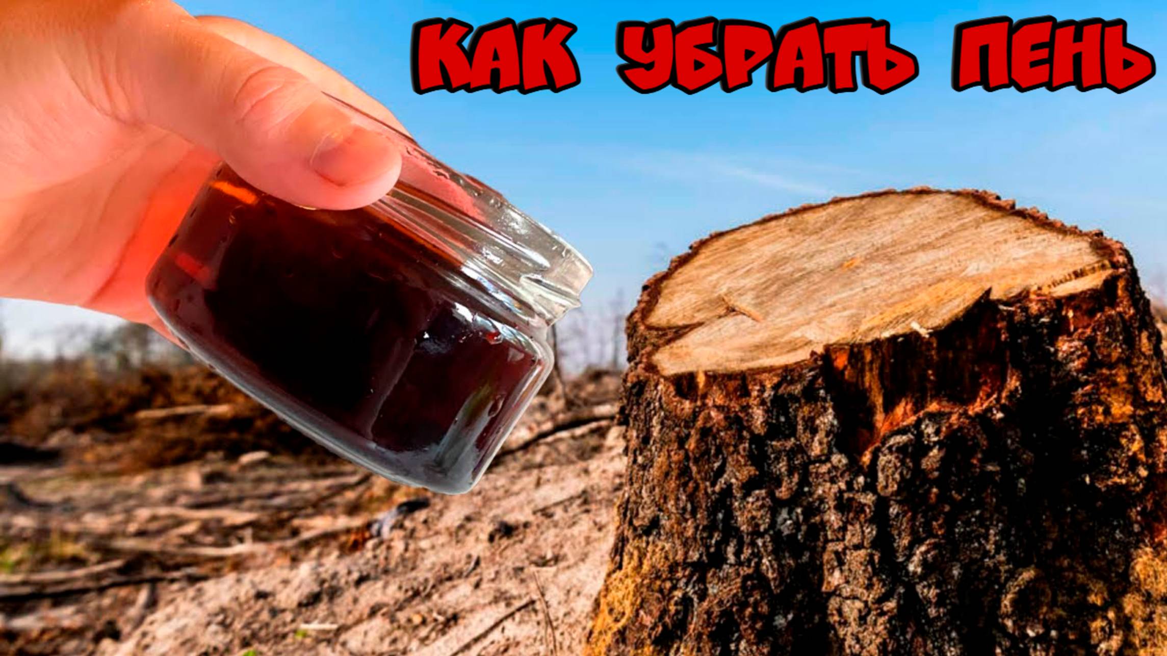 Как быстро убрать пень дерева на участке без корчевания и селитры
