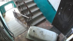 Набедокурил, хулиган!