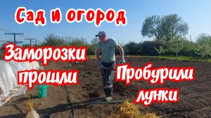 Дом на Юге. Сад и огород. Заморозки прошли. Пробурили лунки.