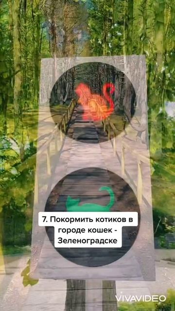 Калининград смотреть онлайн