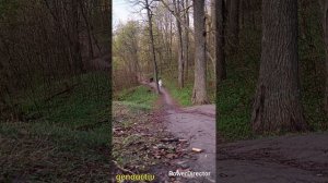 На встречу к радуге