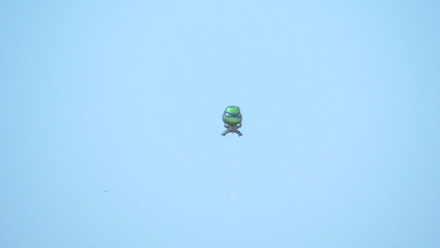 GREEN GRINGO UFO