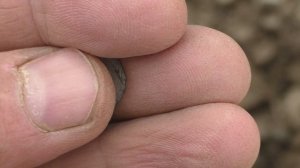 Снова поиск на виноградниках.