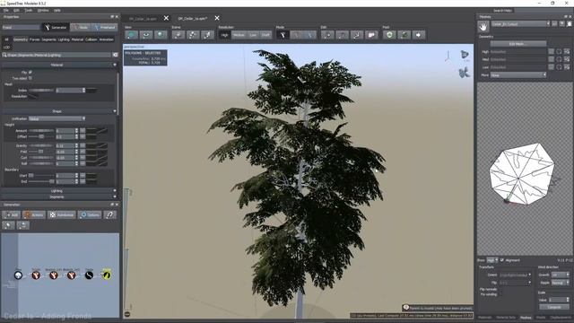 01.03_Cedar_1a_BranchTexture_Test