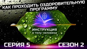 Как восстановить микрофлору кишечника? (5 серия)