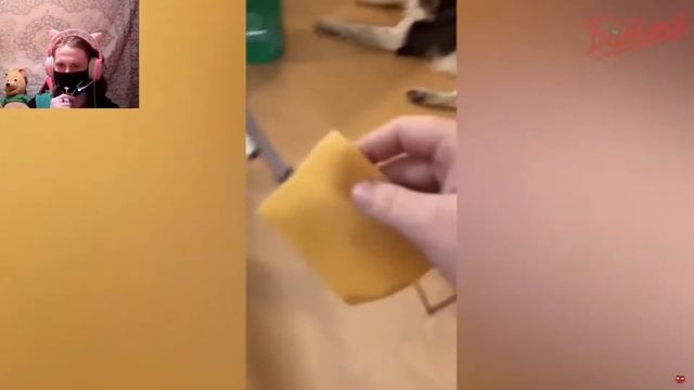 ЛУЧШИЕ ПРИКОЛЫ I 489 СЕКУНД СМЕХА / РЕАКЦИЯ ГОЛОСОМ МАРМОКА смотреть онлайн