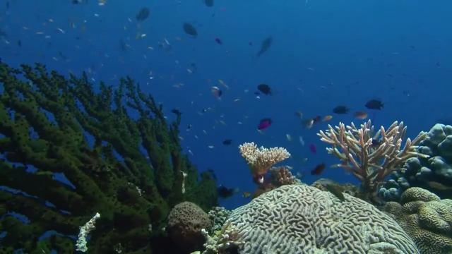 Мысли материальны , не веришь, смотри   И ПРИМЕНЯЙ!!!  Канал Галины Бубенчиковой смотреть онлайн