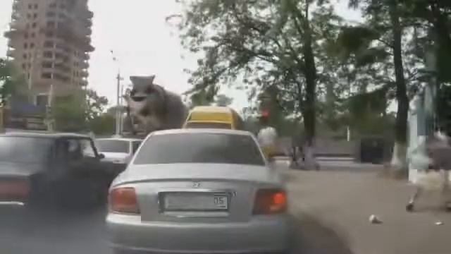 Парень молодец наказал мусорщика, прикол дня смотреть онлайн