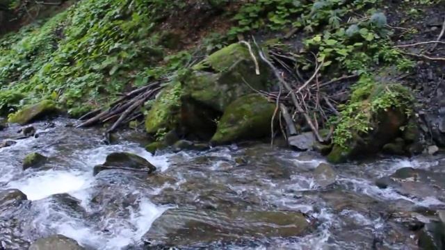 Водопад Шипот смотреть онлайн