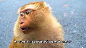 "Третий Шаг". 26 мая. Сегодня-лучший путь. Ежедневник для созависимых.