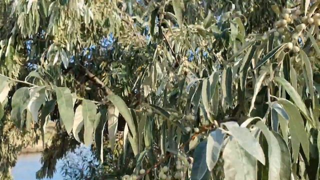 Влог : Прощание с ЛЕТОМ 🏖🌈🌊 смотреть онлайн