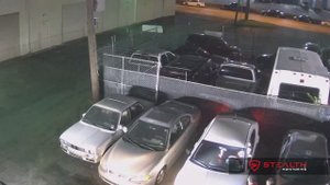 Public Urination Behind Office Building