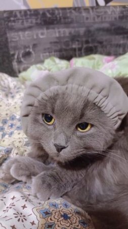 Дитё наше 🥰 😀вот такое красивое