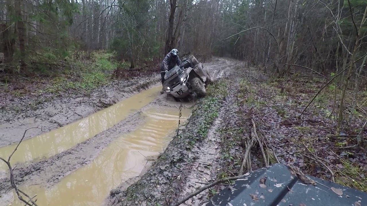 Осенняя просека для Guepard 650 и СfMoto x8