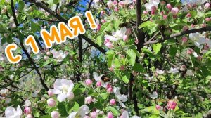 Поздравляю с 1 мая. Мир, труд, май. Праздник весны и труда. Весна 2025