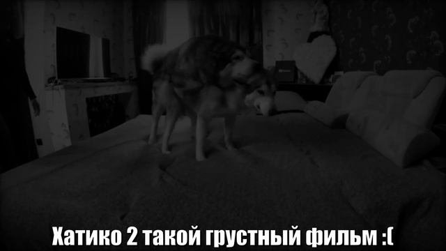 ЭТО ЛУЧШИЕ МАНИМЕ 2044 ГОДА! смотреть онлайн