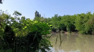 Солнечный остров