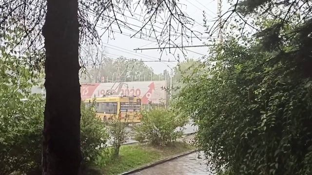 ДОЖДИК ЛЬËТ / СТОЮ ПОД ËЛКОЙ 😂 МНЕ БЕЖАТЬ? ИЛИ СТОЯТЬ?