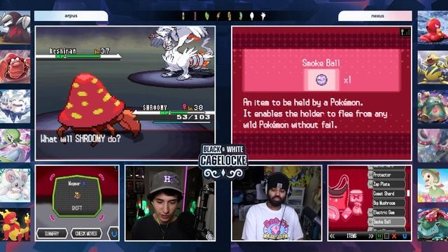 We Battle EACH OTHER In This Pokémon Nuzlocke! Cagelocke 10