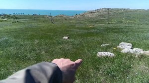 Семёновка 1551.mp4