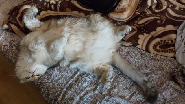 Микис 1 Мая