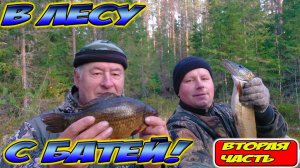 КУДА ДЕЛАСЬ ВСЯ РЫБА? РЫБАЧИМ С БАТЕЙ НА ЛЕСНОМ ОЗЕРЕ.  ОТЛИЧНЫЕ ВЫХОДНЫЕ В ОСЕННЕМ ЛЕСУ!
