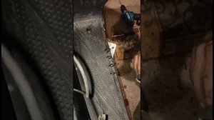Дали вторую жизнь скутеру