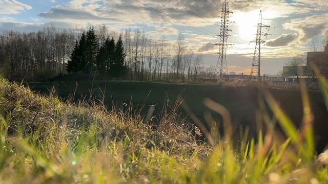 Релаксируем дорогие мои!! Наблюдаем за природой - очищаем наши мысли!