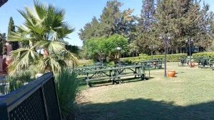 Limak Arcadia (обзор отеля)