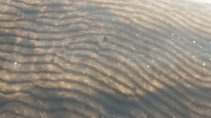 Первая покупка 🏊 в Обском море  🌊 в этом сезоне 2025 г. На мелководье вода прогрелась 🌡️ 1st swim