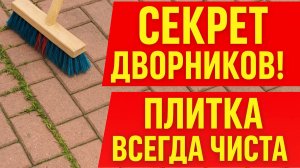 Мощное средство от травы между плиткой — лучше магазинного!